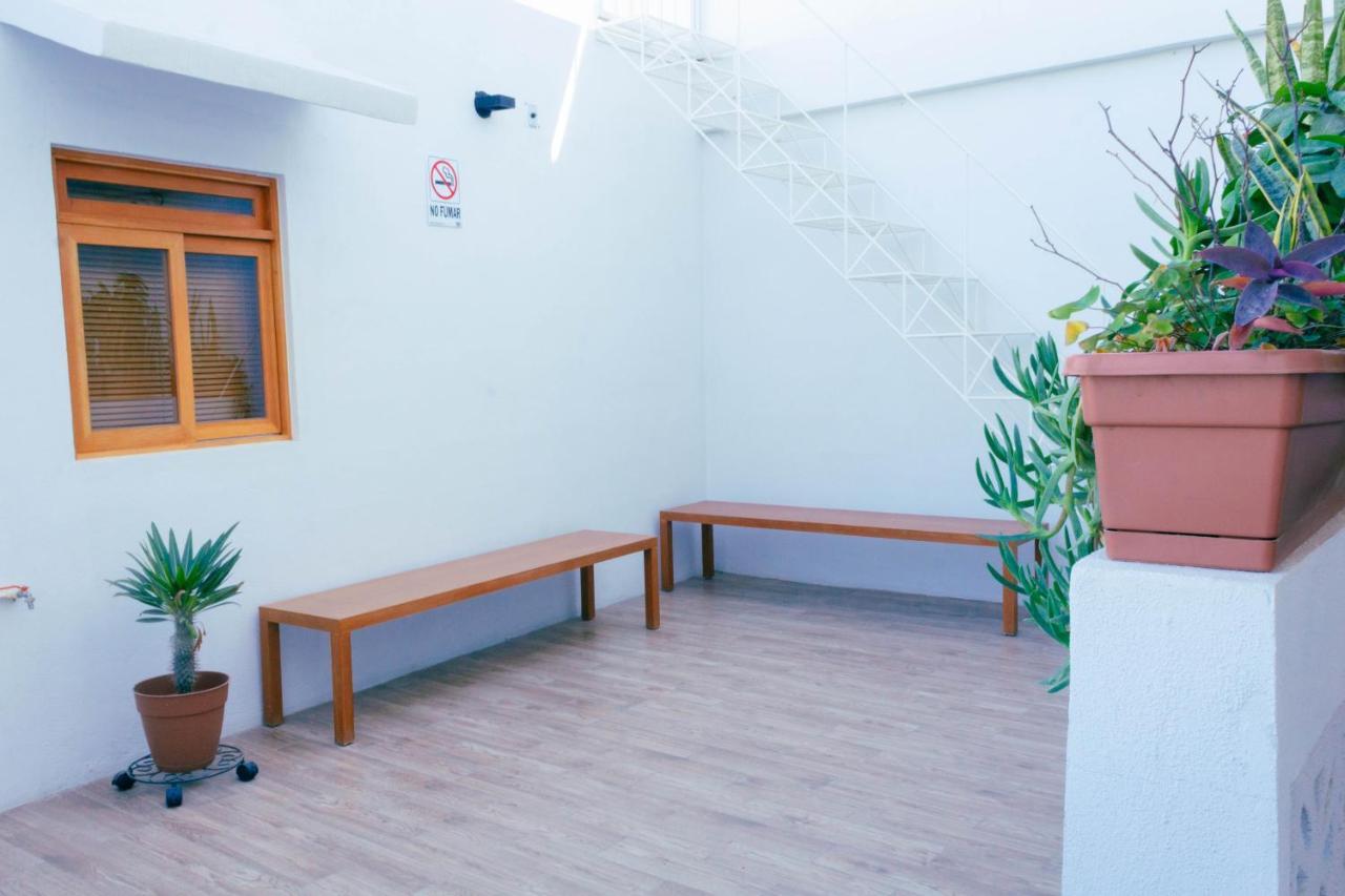 קאבו סן לוקאס Casa Palo Verde מראה חיצוני תמונה