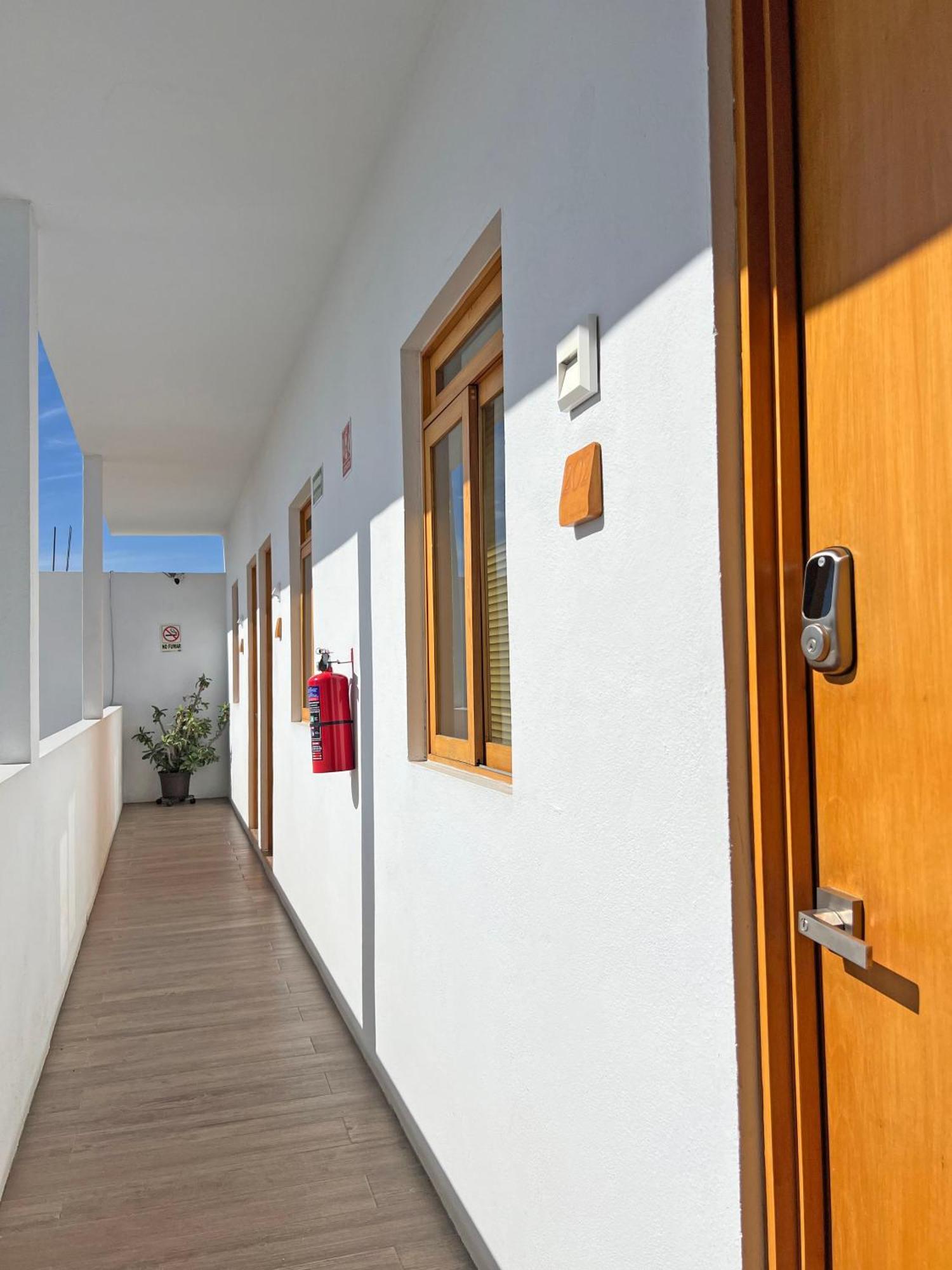 קאבו סן לוקאס Casa Palo Verde מראה חיצוני תמונה