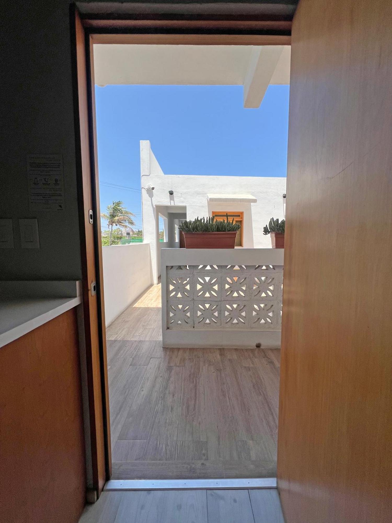 קאבו סן לוקאס Casa Palo Verde חדר תמונה