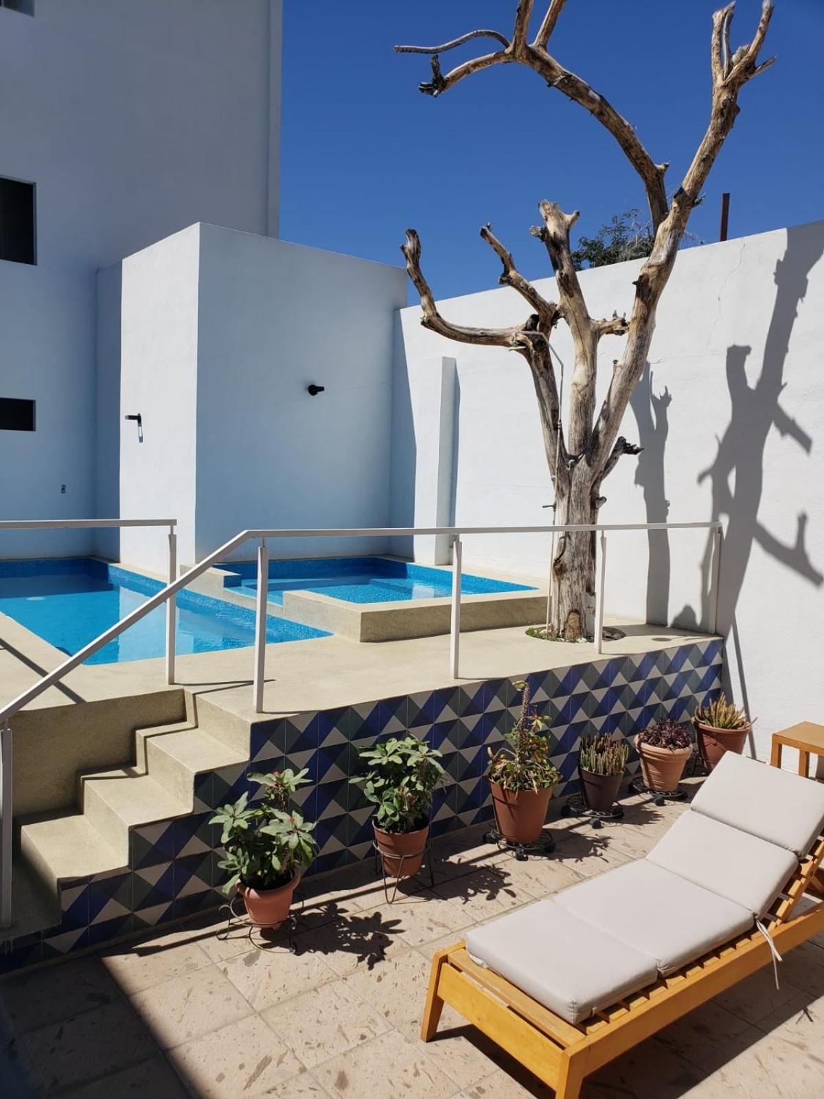 קאבו סן לוקאס Casa Palo Verde מראה חיצוני תמונה